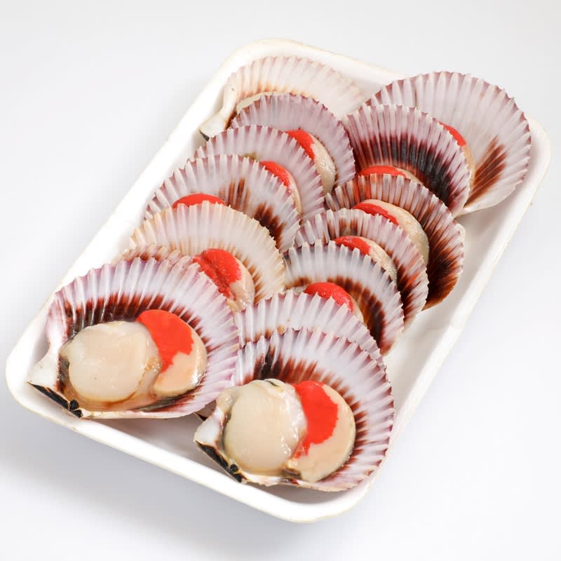 OSTIONES Media Concha - 10 un. - Tres Peces1