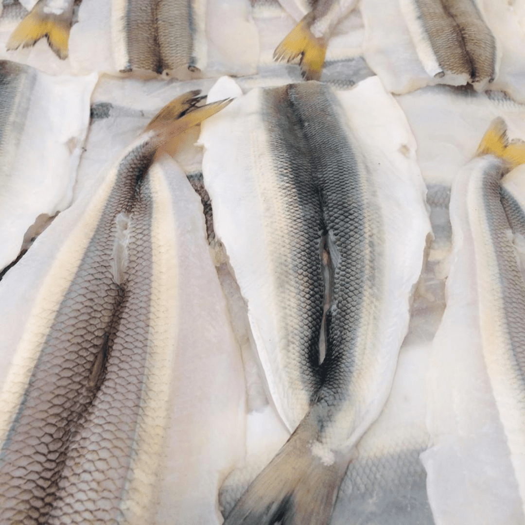 PEJERREY de Pesca Sustentable - Filete sin espinas x Kilo - Tres Peces1