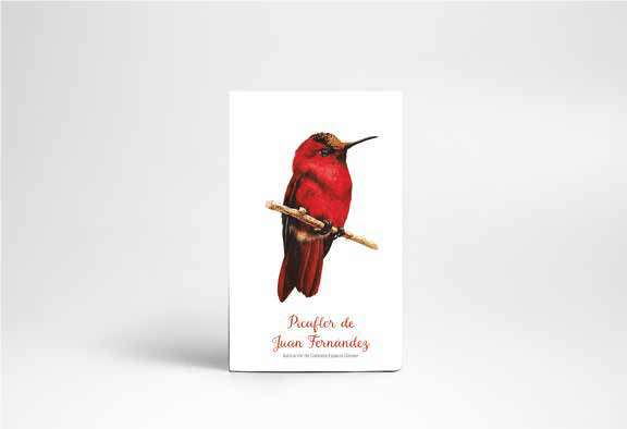 Cuadernos de viaje - 64 pág - 10x15 cm - Temática1