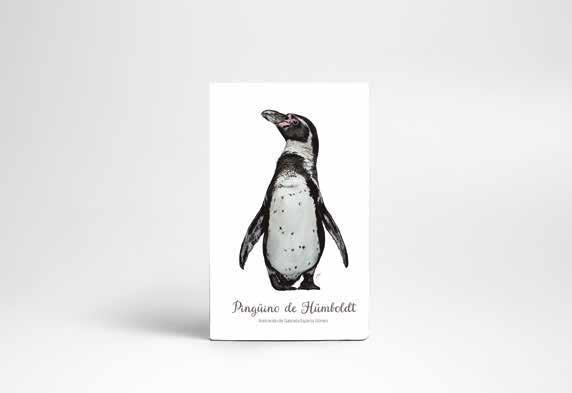 Cuadernos de viaje - 64 pág - 10x15 cm - Temática2