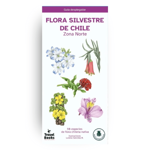 GUÍA DE BOLSILLO13