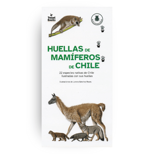 GUÍA DE BOLSILLO24
