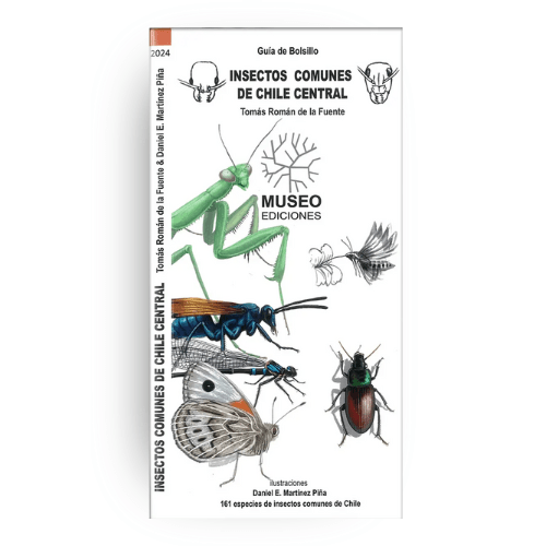 GUÍA DE BOLSILLO25