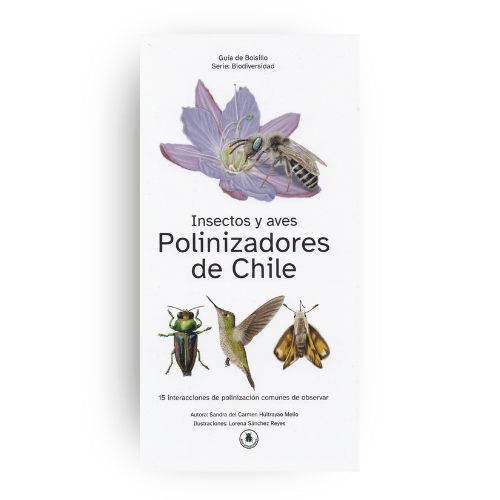 GUÍA DE BOLSILLO26