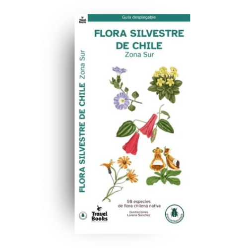 GUÍA DE BOLSILLO14
