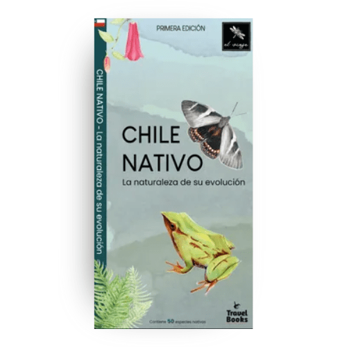 GUÍA DE BOLSILLO36