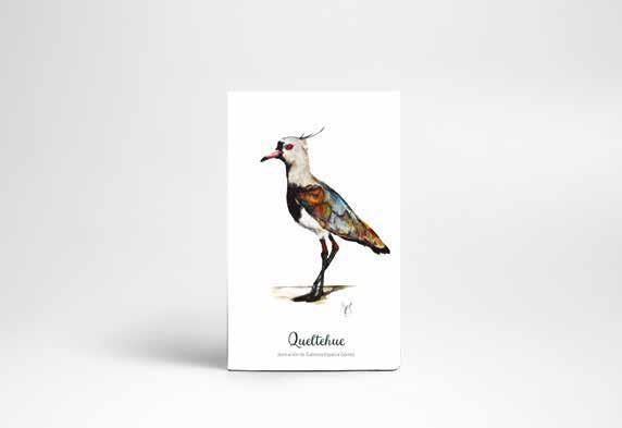 Cuadernos de viaje - 64 pág - 10x15 cm - Temática3