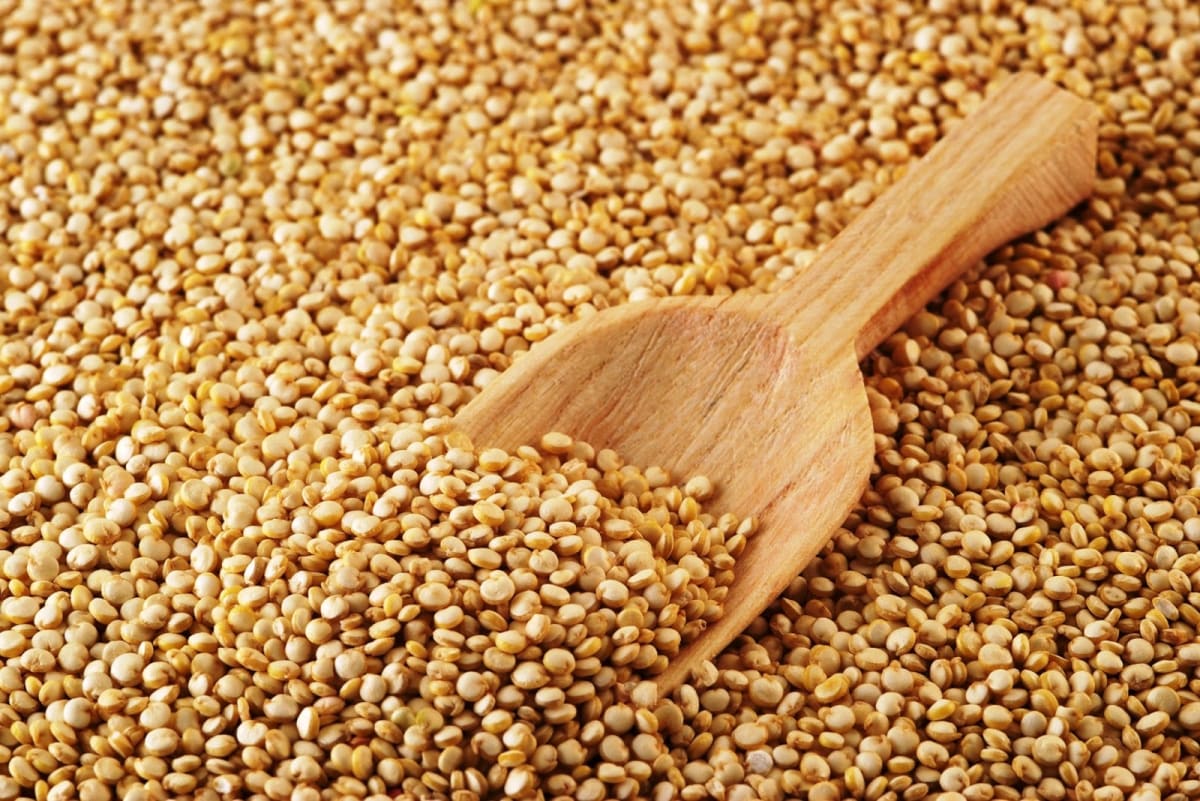 QUINOA Libre de Químicos - 500g - Espacio Regenera2
