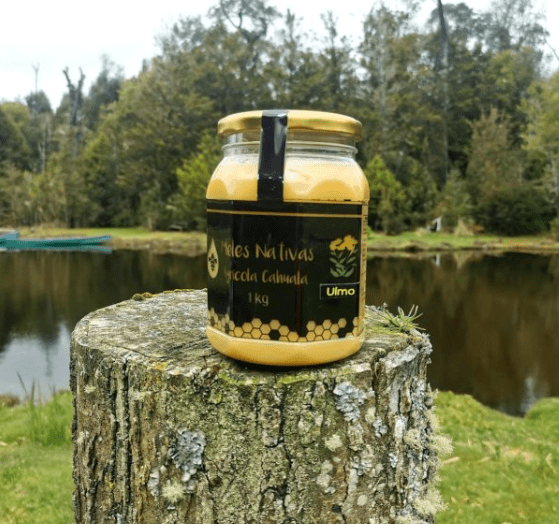 MIEL PREMIUM ULMO - 1Kg - Apicola Cahuala1