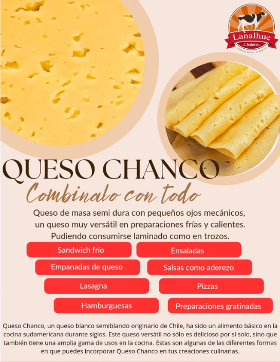 QUESO CHANCO 500g - Lanalhue2