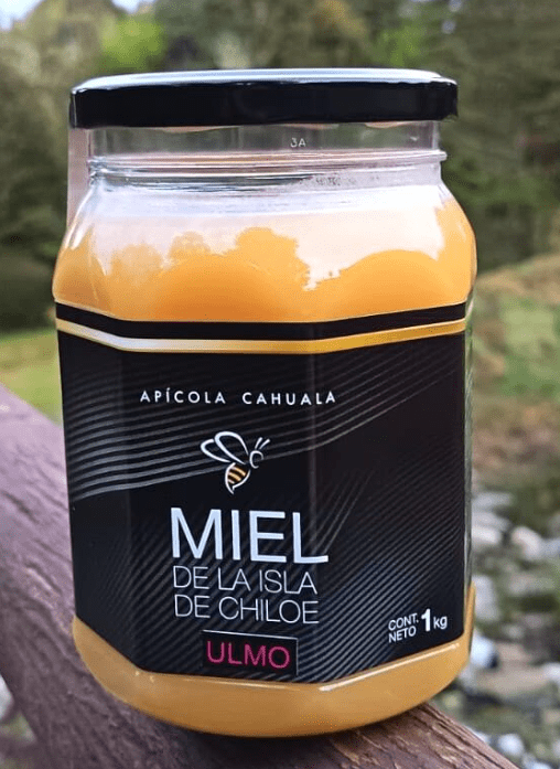 MIEL PREMIUM ULMO - 1Kg - Apicola Cahuala2