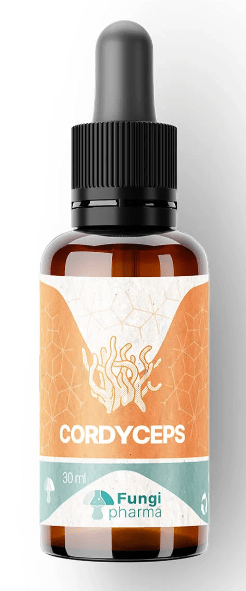 CORDYCEPS MILITARIS - 30 ML - Gotas - Fungi Pharma1