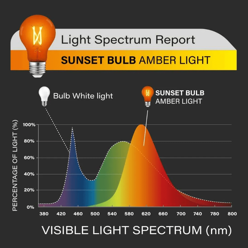 AMPOLLETA de SUEÑO - ÁMBAR2