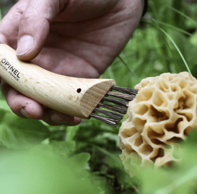 CUCHILLO OPINEL para COSECHAR SETAS - Opinel2