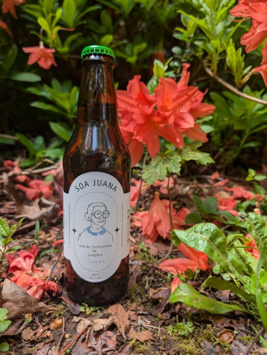 GINGER BEER - 330 ml - Soa Juana1