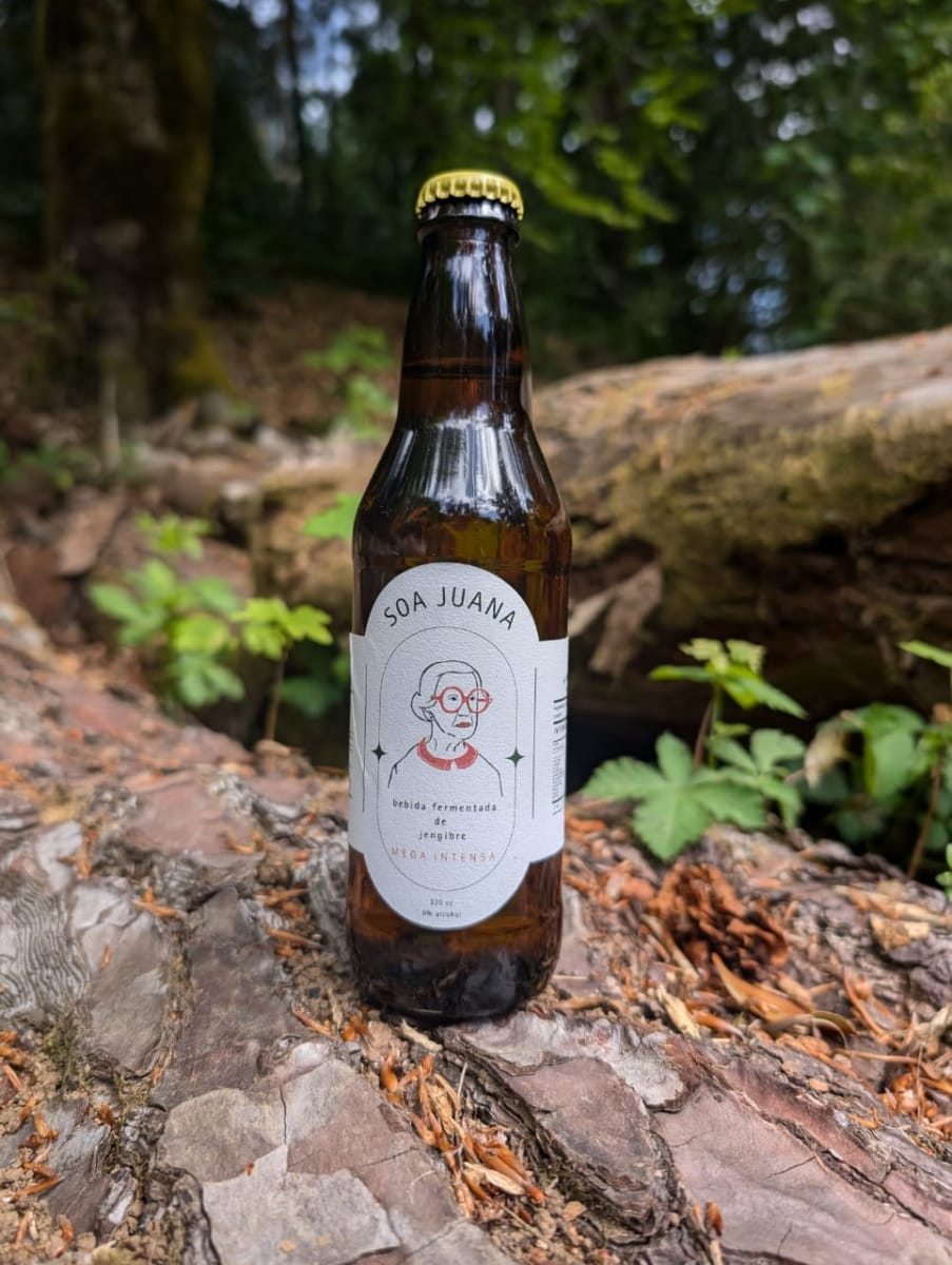 GINGER BEER - 330 ml - Soa Juana3