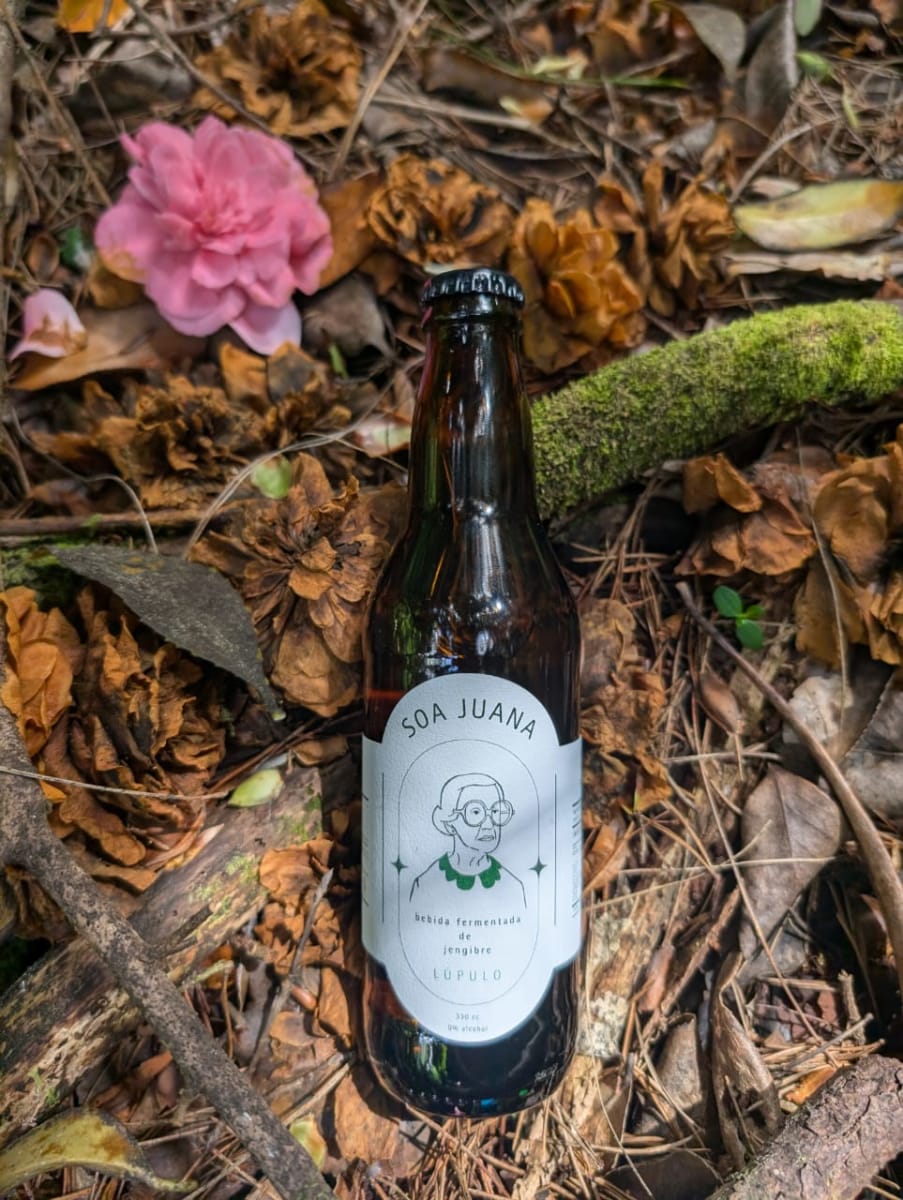 GINGER BEER - 330 ml - Soa Juana4