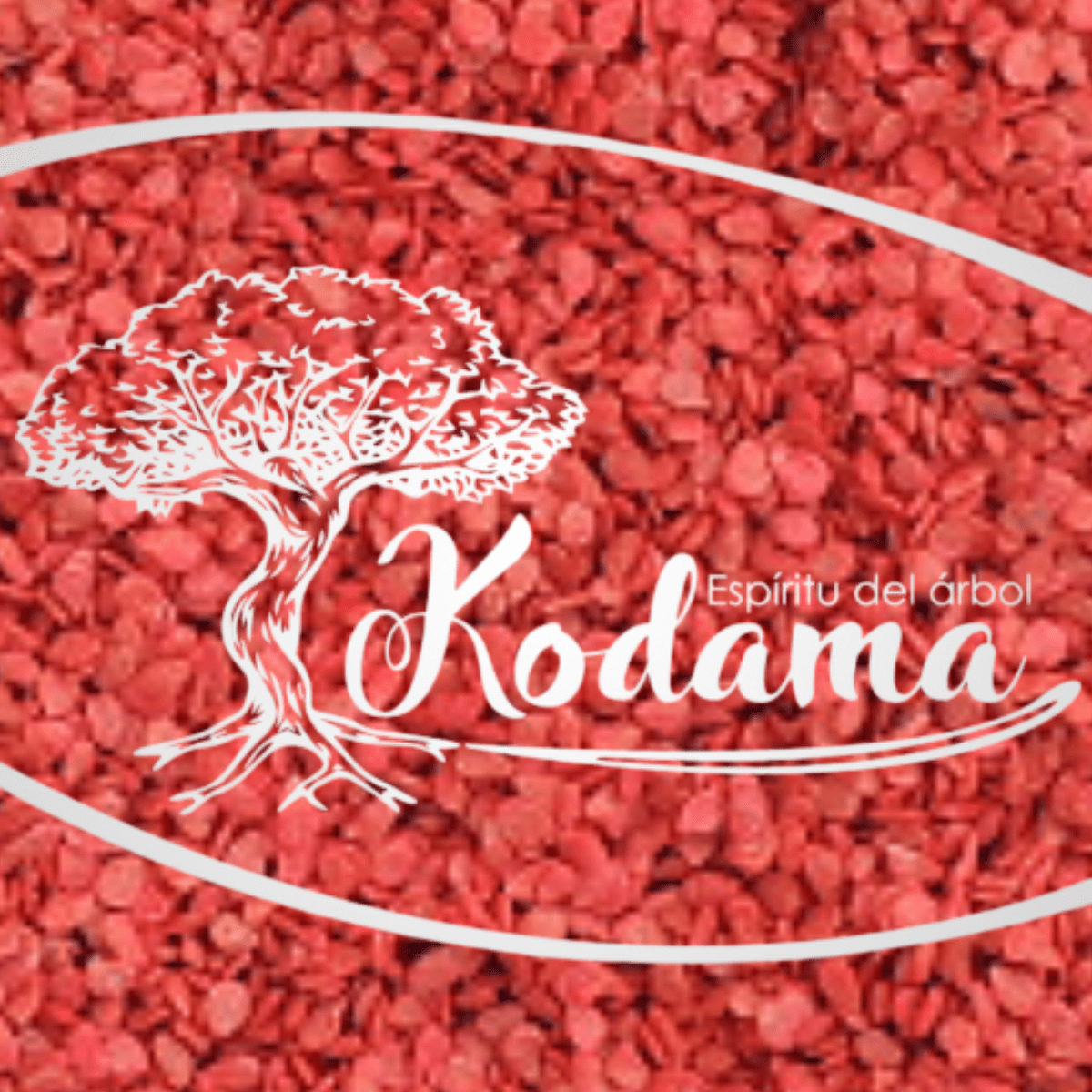 SEMILLAS  TOMATE CHERRY1