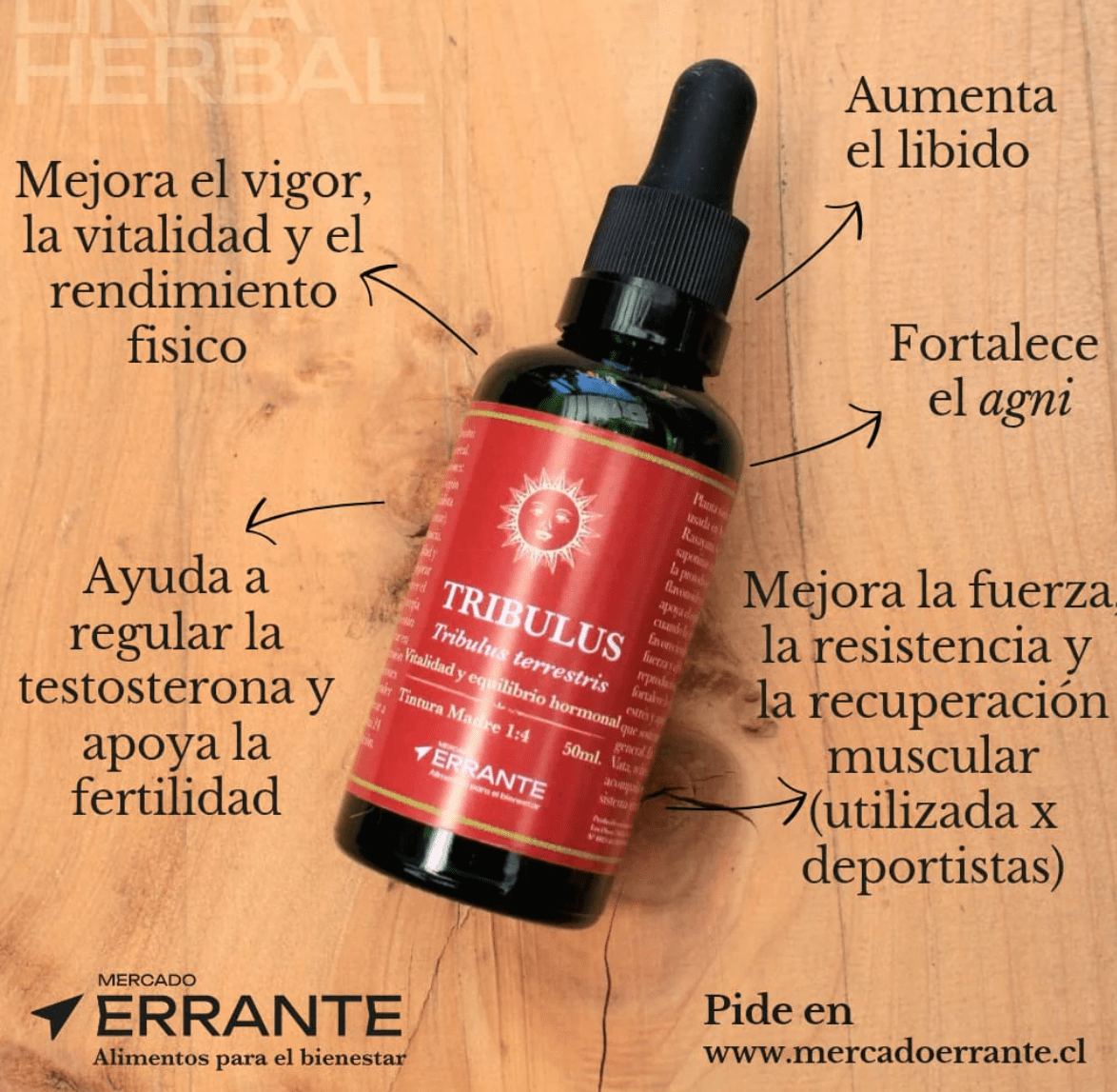 TINTURA MADRE - TRIBULUS - 50ml - Mercado Errante1