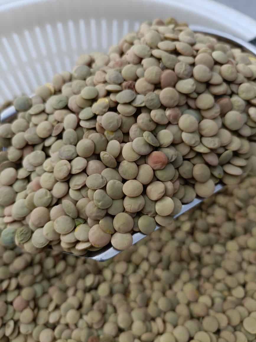 LENTEJAS AGROECOLOGICAS - 1KG1