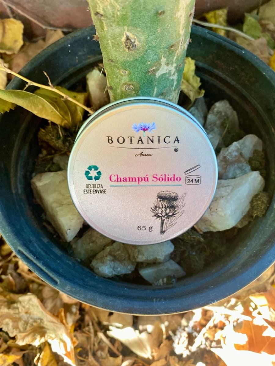 CHAMPU SOLIDO VARIEDADES - 65 g - Botánica Aurea1
