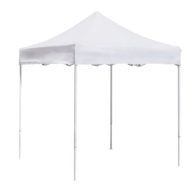 TOLDO PLEGABLE TOLDO PLEGABLE