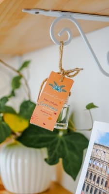 Difusor Auto Carnaval 8ml1