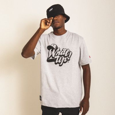 POLERA REGULAR FIT LOGO CLASICO GRIS POLERA REGULAR FIT LOGO CLASICO GRIS