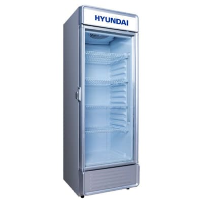 VISICOOLER HYUNDAI1