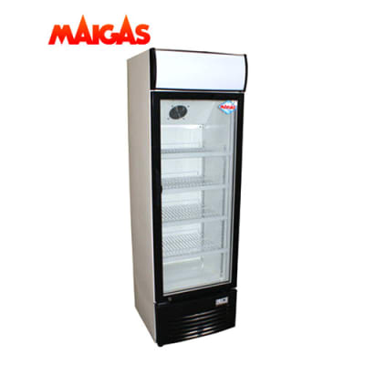 VISICOOLER MAIGAS1