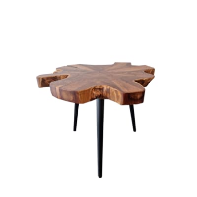 MESA LATERAL LILLY MESA LATERAL LILLY