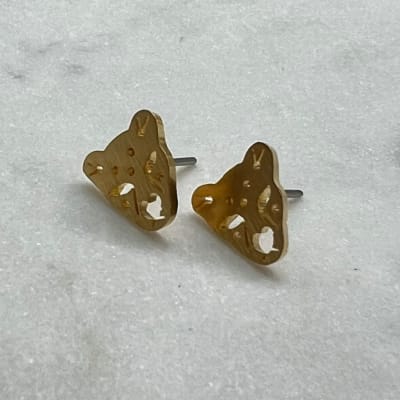 AROS JAGUAR MINI1