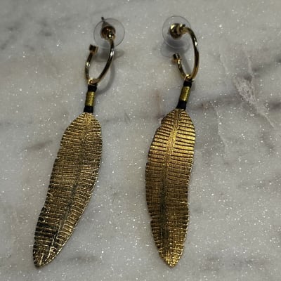 CANDONGA PLUMA1