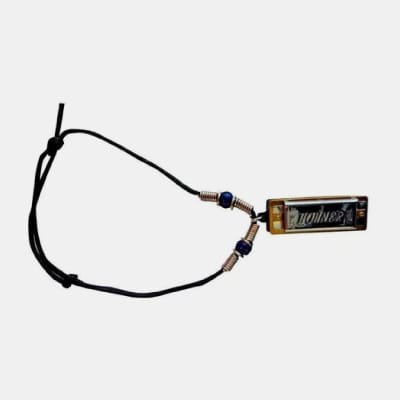 ARMÓNICA DIATÓNICA 38BR BLUSERA MINI HARP HOHNER1