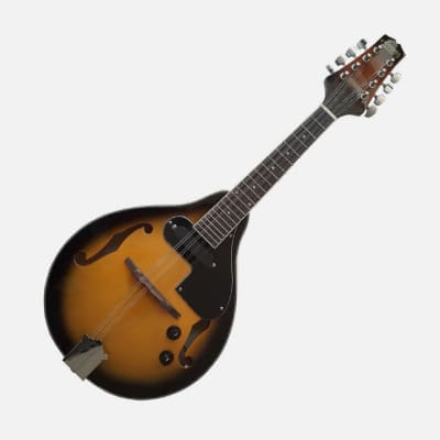 MANDOLINA ACUSTICA C/F M-ACUS ACCACIA1