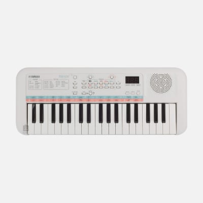 TECLADO DIGITAL PORTATIL PSSE301