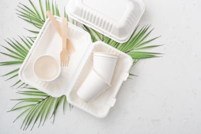 Biodegradable