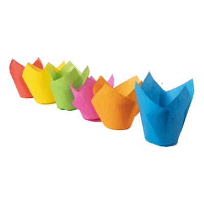 MOLDE MULTICOLORES PARA TULIPA