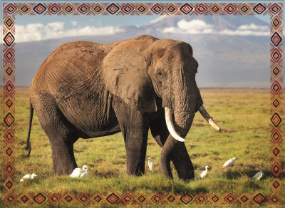 PUZZLE 100 ELEFANTE PUZZLE 100 ELEFANTE