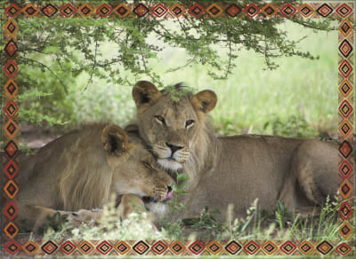 PUZZLE 100 LEONES PUZZLE 100 LEONES
