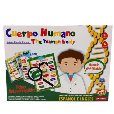 CUERPO HUMANO CUERPO HUMANO