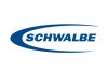 Schwalbe