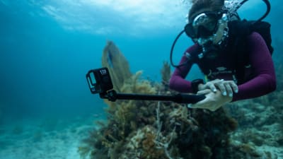 HERO13 Black Specialty Bundle