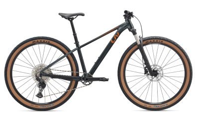 Bicicleta Tempt 29 0 Asphalt Green Gloss1