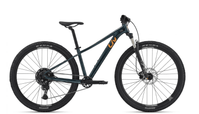 Bicicleta Tempt 29 1 Gloss Starry Night1