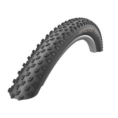 Neumático Racing Ray TWINSKIN ADDIX 29X2.251