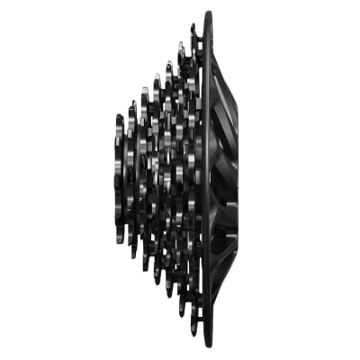 Piñon X01 DH XD XG795 10-24T 7V Negro Piñon X01 DH XD XG795 10-24T 7V Negro