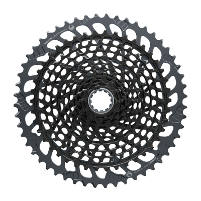 Piñon XG 1295 X01 12v 10-52t Black
