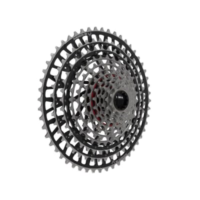 Piñon Eagle XX SL A1 T-Type XD XS1299 10-52T 12V