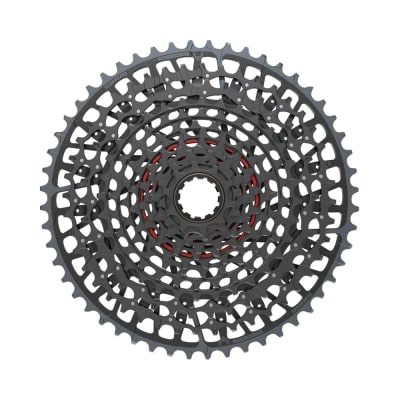 Piñon Eagle X0 A1 T-Type XD XG1295 10-52T 12V